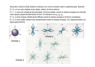 Secondo il valore di l gli orbitali si indicano con nomi e simboli usati in spettroscopia. Quando
l = 0, vi è un solo orbitale s (da sharp, nitido), di forma sferica.
l = 1, vi sono tre orbitali p (da principal), di forma lobata, aventi la stessa energia ma orientati
nello spazio perpendicolarmente tra loro. Si indicano con px, py, pz.
l = 2, vi sono cinque orbitali d (da diffuse) aventi la stessa energia e di forma complessa.
l = 3, vi sono sette orbitali f (da fundamental) aventi la stessa energia, non rappresentabili con
figure geometriche.




                                              Orbitali p

 Orbitale s




       Orbitali d
 