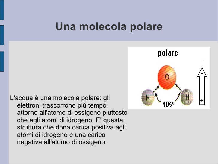 Chimica, 2012, acqua e vita, chiara m., 4 liceo scienze soc