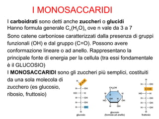 I carboidrati sono detti anche zuccheri o glucidi
Hanno formula generale Cn(H2O)n ove n vale da 3 a 7
Sono catene carboniose caratterizzati dalla presenza di gruppi
funzionali (OH) e dal gruppo (C=O). Possono avere
conformazione lineare o ad anello. Rappresentano la
principale fonte di energia per la cellula (tra essi fondamentale
è il GLUCOSIO)
I MONOSACCARIDI sono gli zuccheri più semplici, costituiti
da una sola molecola di
zucchero (es glucosio,
ribosio, fruttosio)
I MONOSACCARIDI
 