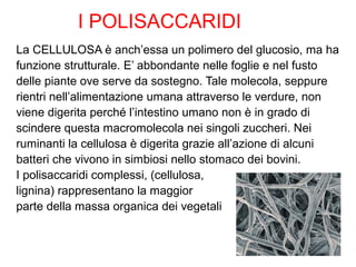 La CELLULOSA è anch’essa un polimero del glucosio, ma ha
funzione strutturale. E’ abbondante nelle foglie e nel fusto
delle piante ove serve da sostegno. Tale molecola, seppure
rientri nell’alimentazione umana attraverso le verdure, non
viene digerita perché l’intestino umano non è in grado di
scindere questa macromolecola nei singoli zuccheri. Nei
ruminanti la cellulosa è digerita grazie all’azione di alcuni
batteri che vivono in simbiosi nello stomaco dei bovini.
I polisaccaridi complessi, (cellulosa,
lignina) rappresentano la maggior
parte della massa organica dei vegetali
I POLISACCARIDI
 