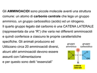 Chimica della vita PPT