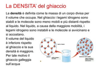 La DENSITA’ del ghiaccio
La densità è definita come la massa di un corpo divisa per
il volume che occupa. Nel ghiaccio i legami idrogeno sono
stabili e le molecole sono meno mobili e più distanti rispetto
al liquido. Nel liquido, a causa della maggiore mobilità, i
legami idrogeno sono instabili e le molecole si avvicinano e
si accostano.
Il volume del liquido
è inferiore rispetto
al ghiaccio e la sua
densità è maggiore.
Per tale motivo il
ghiaccio galleggia
sull’acqua
 
