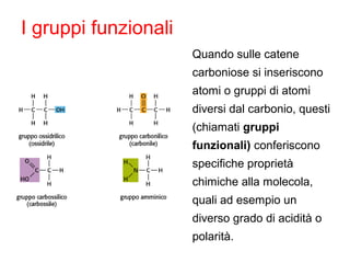 I gruppi funzionali
Quando sulle catene
carboniose si inseriscono
atomi o gruppi di atomi
diversi dal carbonio, questi
(chiamati gruppi
funzionali) conferiscono
specifiche proprietà
chimiche alla molecola,
quali ad esempio un
diverso grado di acidità o
polarità.
 