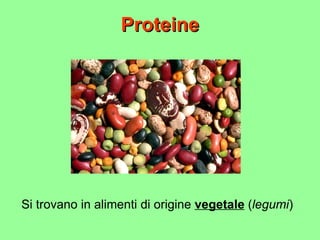 Proteine Si trovano in alimenti di origine  vegetale  ( legumi ) 