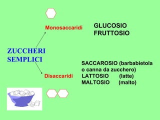     Monosaccaridi GLUCOSIO FRUTTOSIO ZUCCHERI SEMPLICI   SACCAROSIO (barbabietola  o canna da zucchero) Disaccaridi  LATTOSIO  (latte) MALTOSIO  (malto) 