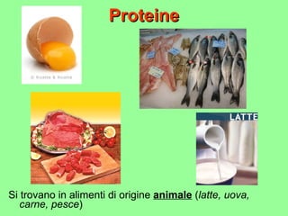 Proteine Si trovano in alimenti di origine  animale  ( latte, uova, carne, pesce ) 