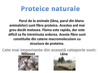 Parul de la animale (lâna, parul din blana
animalelor) sunt fibre proteice. Acestea ard mai
greu decât matasea. Flama este rapida, dar este
dificil sa fie intretinuta arderea. Aceste fibre sunt
constituite din catene macromoleculare cu
structura de proteine.
Mătasea Lâna
 