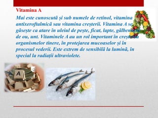 Vitamina A 
Mai este cunoscutã și sub numele de retinol, vitamina 
antixeroftalmicã sau vitamina creșterii. Vitamina A se 
gãsește ca atare în uleiul de pește, ficat, lapte, gãlbenușul 
de ou, unt. Vitaminele A au un rol important în creșterea 
organismelor tinere, în protejarea mucoaselor și în 
procesul vederii. Este extrem de sensibilã la luminã, în 
special la radiații ultraviolete. 
 