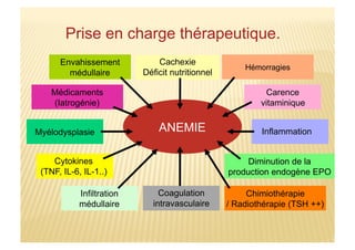 Prise en charge thérapeutique.
ANEMIE
Diminution de la
production endogène EPO
Envahissement
médullaire
Médicaments
(Iatrogénie)
Myélodysplasie
Infiltration
médullaire
Hémorragies
Chimiothérapie
/ Radiothérapie (TSH ++)
Carence
vitaminique
Cachexie
Déficit nutritionnel
Inflammation
Coagulation
intravasculaire
Cytokines
(TNF, IL-6, IL-1..)
 