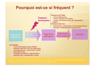 Organisme
saprophyte
InfectionOrganisme
pathogène
Colonisation
de la muqueuse
Déséquilibre
de la flore ou
immunitaire
Facteurs
favorisants
Le Candida :
• levure saprophyte du tube digestif
présente chez 25% à 75% de sujets sains
• Candida albicans : présent dans 70-80%
des isolats oraux
• Candida non-albicans : glabrata (8%) >
tropicalis (5%) > parapsilosis > krusei
Appleton SS. Candidiasis: pathogenesis, clinical characteristics, and treatment.. J Calif Dent Assoc. 2000. Vazquez JA, Sobel JD. Mucosal
candidiasis. Infect Dis Clin North Am. 2002. Akpan A, Morgan R. Oral candidiasis. Postgrad Med J 2002;78(922):455-9. Samaranayake LP et al.
Candidiasis and other fungal diseases of the mouth. Dermatologic Ther 2002;15:251-69.
Facteurs de l’hôte :
- immunodépression,
- cancer, infection VIH, diabète,
- mucite, xérostomie, baisse de l’état général,
hygiène …
Facteurs externes :
- radiothérapie, cytotoxiques, immunosuppresseurs,
stéroïdes, antibiothérapie à large spectre
 