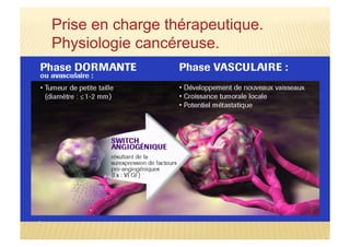 Prise en charge thérapeutique.
Physiologie cancéreuse.
 