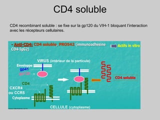 CD4 soluble
CD4 recombinant soluble : se fixe sur la gp120 du VIH-1 bloquant l’interaction
avec les récepteurs cellulaires.
 