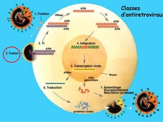 Classes
d’antiretroviraux
 