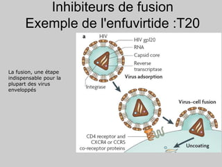 Inhibiteurs de fusion
Exemple de l'enfuvirtide :T20
La fusion, une étape
indispensable pour la
plupart des virus
enveloppés
 