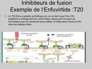Inhibiteurs de fusion
Exemple de l‘Enfuvirtide :T20
1. Le T20 Est un peptide synthétique qui, en se liant à gp 41du VIH,
empêche le changement de conformation requis pour la fusion de
l'enveloppe avec la membrane de la cellule. Il inhibe ainsi l'entré du HIV
dans les cellules hôtes
 