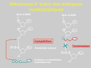 Mécanisme d ’action des analogues
nucléos(t)idiques
Brin d’ADN
P
P
OH
P
OH
Nucléotide naturel
P
P
Brin d’ADN
P B
x
P Bx+1
P Bx+3
OH
P
P
P Bx+2
Terminaison
B
x
Bx+1
Bx+2
Compétition
P
P
P
Analogue nucléosidique
triphosphorylé
Bx+2
 