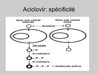 Aciclovir: spécificité
 