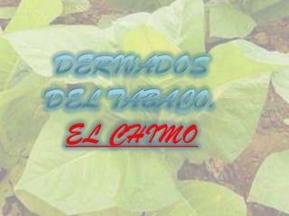 Chimo Chimo | PPT
