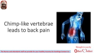 Chimp-like vertebrae
leads to back pain
Brought to you by
The Nurses and attendants staff we provide for your healthy recovery for bookings Contact Us:-
 