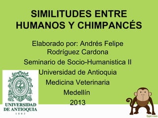 SIMILITUDES ENTRE
HUMANOS Y CHIMPANCÉS
   Elaborado por: Andrés Felipe
       Rodríguez Cardona
 Seminario de Socio-Humanistica II
     Universidad de Antioquia
       Medicina Veterinaria
             Medellín
               2013
 