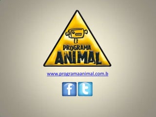 www.programaanimal.com.b
 