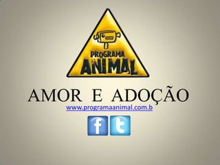 AMOR E ADOÇÃO
   www.programaanimal.com.b
 