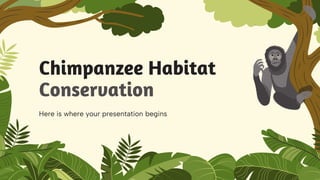 Chimpanzee Habitat
Conservation
Here is where your presentation begins
 