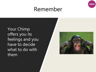 Remember
Your Chimp
offers you its
feelings and you
have to decide
what to do with
them
 