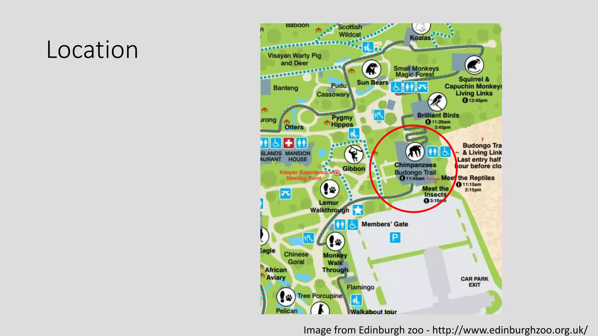 Location
Image from Edinburgh zoo - http://www.edinburghzoo.org.uk/
 