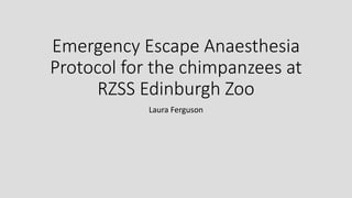 Emergency Escape Anaesthesia
Protocol for the chimpanzees at
RZSS Edinburgh Zoo
Laura Ferguson
 