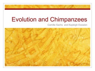 Evolution and Chimpanzees
           Camille Sachs and Kayleigh Esswien
 