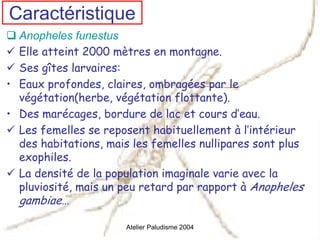 Caractéristique
  Anopheles funestus
  Elle atteint 2000 mètres en montagne.
  Ses gîtes larvaires:
• Eaux profondes, claires, ombragées par le
  végétation(herbe, végétation flottante).
• Des marécages, bordure de lac et cours d’eau.
  Les femelles se reposent habituellement à l’intérieur
  des habitations, mais les femelles nullipares sont plus
  exophiles.
  La densité de la population imaginale varie avec la
  pluviosité, mais un peu retard par rapport à Anopheles
  gambiae…

                       Atelier Paludisme 2004
 