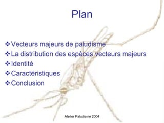 Plan

Vecteurs majeurs de paludisme
La distribution des espèces vecteurs majeurs
Identité
Caractéristiques
Conclusion



                 Atelier Paludisme 2004
 