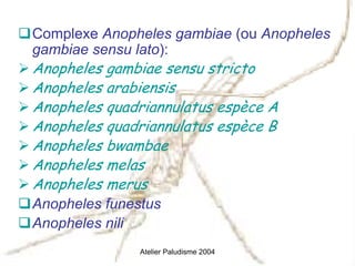 Complexe Anopheles gambiae (ou Anopheles
gambiae sensu lato):
Anopheles gambiae sensu stricto
Anopheles arabiensis
Anopheles quadriannulatus espèce A
Anopheles quadriannulatus espèce B
Anopheles bwambae
Anopheles melas
Anopheles merus
Anopheles funestus
Anopheles nili
               Atelier Paludisme 2004
 