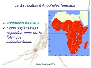 La distribution d’Anopheles funestus



Anopheles funestus
Cette espèces est
répandue dans toute
l’Afrique
subsaharienne.




                Atelier Paludisme 2004
 