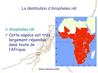 La distribution d’Anopheles nili




Anopheles nili
Cette espèce est très
largement répandue
dans toute de
l’Afrique.



               Atelier Paludisme 2004
 