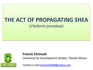 THE ACT OF PROPAGATING SHEA
(Vitellaria paradoxa)
UDS - Ghana
Francis Chimsah
University for Development Studies, Tamale-Ghana
Contact e-mail:chimsah2000@yahoo.com
 
