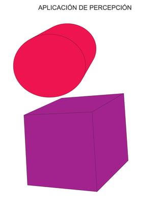 APLICACIÓN DE PERCEPCIÓN