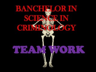 BANCHELOR IN
  SCIENCE IN
CRIMINOLOGY

TEAM WORK
 