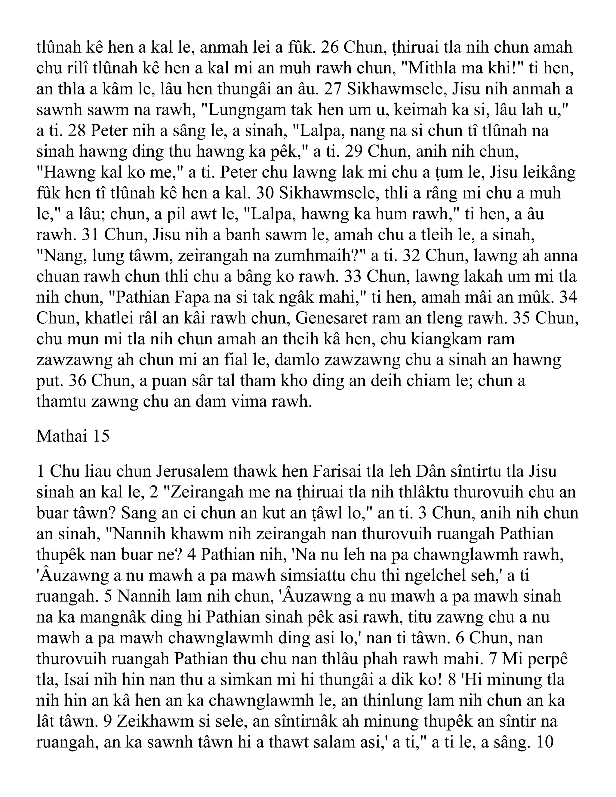 Chin  bawm bible - new testament