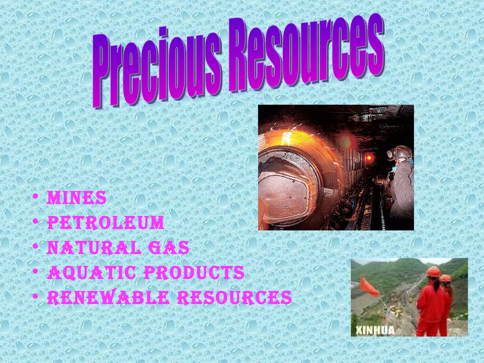 Mines Petroleum Natural gas Aquatic products Renewable resources Precious Resources