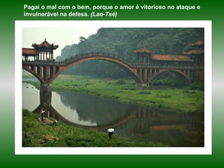 Pagai o mal com o bem, porque o amor é vitorioso no ataque e invulnerável na defesa.  (Lao-Tsé) 