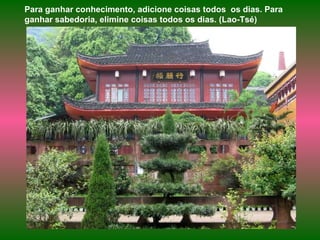 Para ganhar conhecimento, adicione coisas todos  os dias. Para ganhar sabedoria, elimine coisas todos os dias. (Lao-Tsé) 