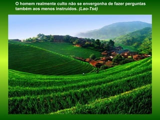 O homem realmente culto não se envergonha de fazer perguntas também aos menos instruídos.  (Lao-Tsé) 