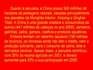 Quanto à pecuária, a China possui 300 milhões de hectares de pastagens naturais, situadas principalmente nos planaltos da Mongólia Interior, Xinjiang e Qinghai-Tibet. A China é uma grande criadora e consumidora de suínos (441 milhões de cabeças no ano 2000), carneiros, galinhas, patos, gansos, coelhos e produtos aquáticos.  Embora tenham um rebanho razoável (159 milhões de bovinos), os chineses ainda não têm o hábito, nem a produção suficiente, para o consumo de carne, leite e derivados bovinos. Apesar disso, a pecuária contribuiu com 30% da receita agrícola em 2001, e deverá aumentar para 33% a sua participação em 2005. 