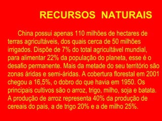 RECURSOS  NATURAIS China possui apenas 110 milhões de hectares de terras agricultáveis, dos quais cerca de 50 milhões irrigados. Dispõe de 7% do total agricultável mundial, para alimentar 22% da população do planeta, esse é o desafio permanente. Mais da metade do seu território são zonas áridas e semi-áridas. A cobertura florestal em 2001 chegou a 16,5%, o dobro do que havia em 1950. Os principais cultivos são o arroz, trigo, milho, soja e batata. A produção de arroz representa 40% da produção de cereais do país, a de trigo 20% e a de milho 25%.  