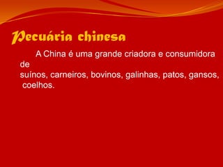 Pecuária chinesa		A China é uma grande criadora e consumidora de suínos, carneiros, bovinos, galinhas, patos, gansos, coelhos.