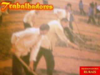 TRABALHADORES RURAIS