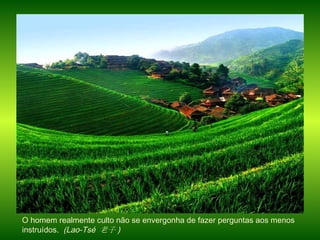 O homem realmente culto não se envergonha de fazer perguntas aos menos instruídos.  (Lao-Tsé  老子 ) ‏ 