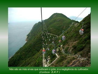Não são as más ervas que sufocam o grão, é a negligência do cultivador.  (Confúcio  孔夫子 ) ‏ 